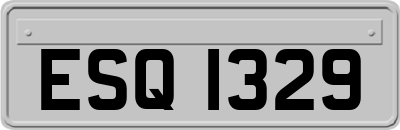 ESQ1329