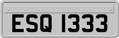 ESQ1333