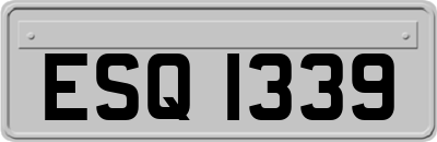 ESQ1339