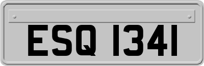 ESQ1341