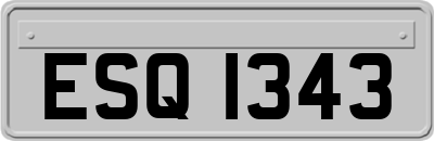 ESQ1343
