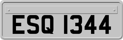 ESQ1344