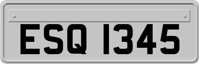 ESQ1345