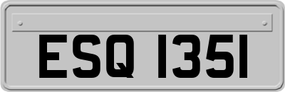 ESQ1351