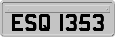ESQ1353