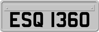 ESQ1360