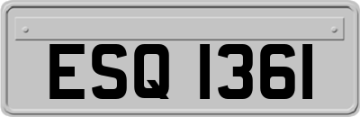 ESQ1361