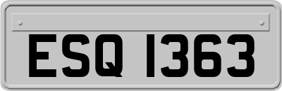 ESQ1363