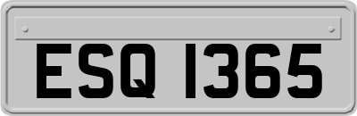 ESQ1365