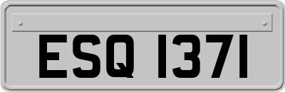 ESQ1371