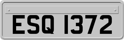 ESQ1372