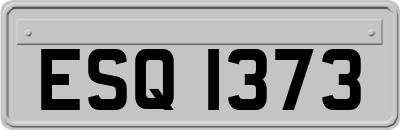 ESQ1373