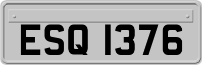 ESQ1376