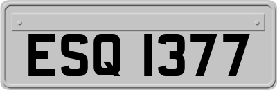 ESQ1377