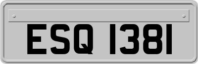 ESQ1381