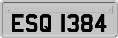 ESQ1384