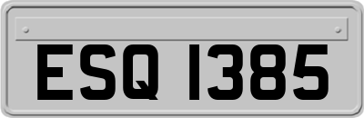 ESQ1385