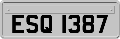 ESQ1387