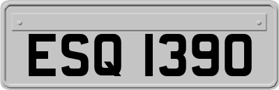 ESQ1390