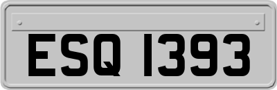 ESQ1393