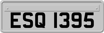 ESQ1395