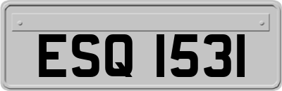 ESQ1531