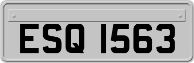 ESQ1563