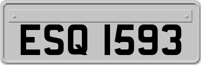 ESQ1593