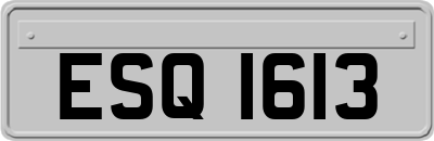 ESQ1613