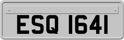 ESQ1641
