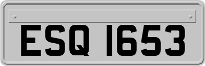 ESQ1653