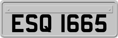 ESQ1665