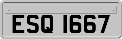 ESQ1667