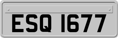 ESQ1677