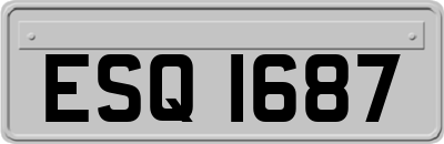 ESQ1687