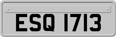ESQ1713