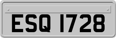 ESQ1728