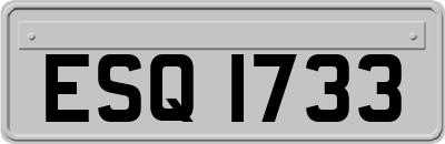 ESQ1733