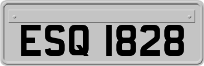 ESQ1828