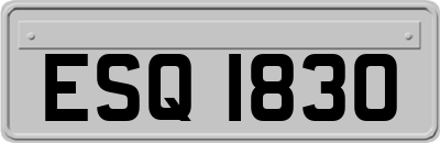ESQ1830