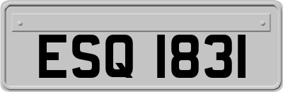 ESQ1831