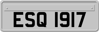ESQ1917