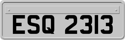 ESQ2313