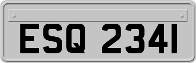 ESQ2341
