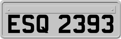 ESQ2393