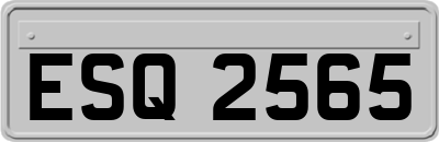 ESQ2565