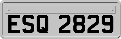 ESQ2829