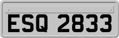 ESQ2833