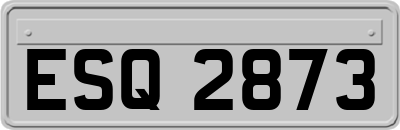 ESQ2873