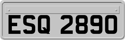 ESQ2890